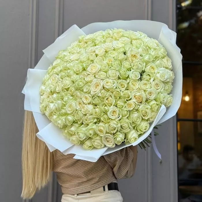 151 белая роза 50 см