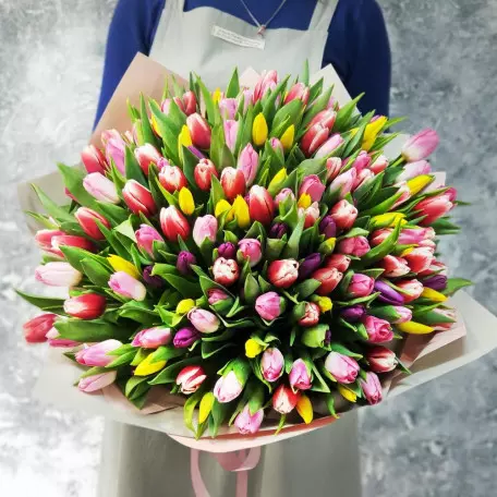 151 різнокольоровий тюльпан