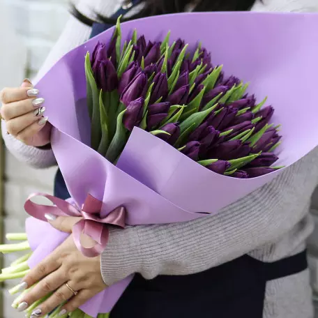51 фіолетовий тюльпан