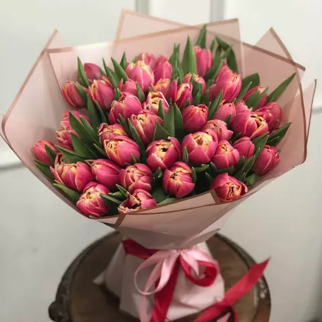 51 піоноподібний тюльпан