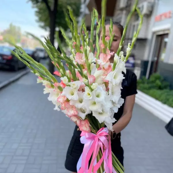 19 різнокольорових гладіолусів