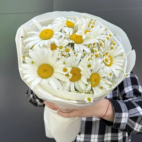 Солнечное настроение