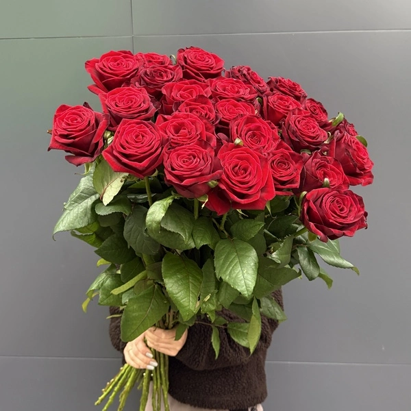25 красных роз 1 метр