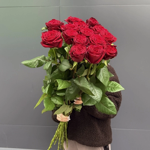 15 красных роз 1 метр