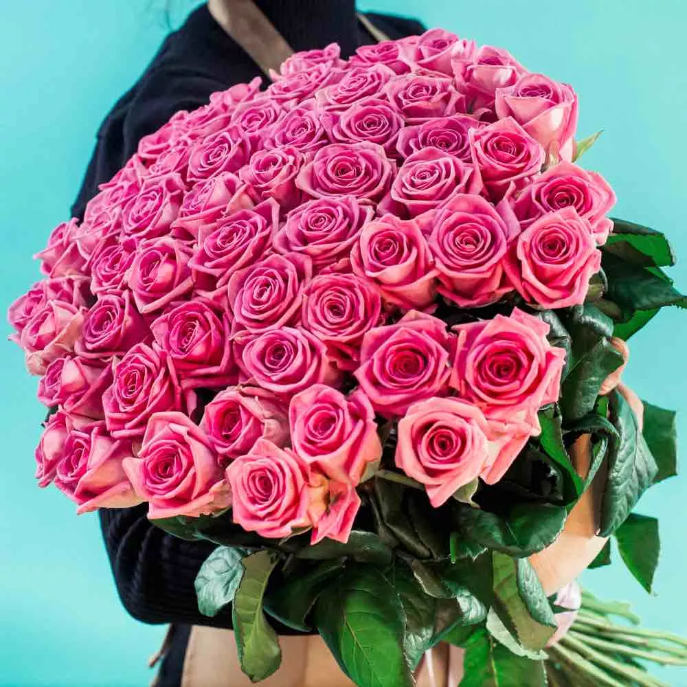 51 розовая роза