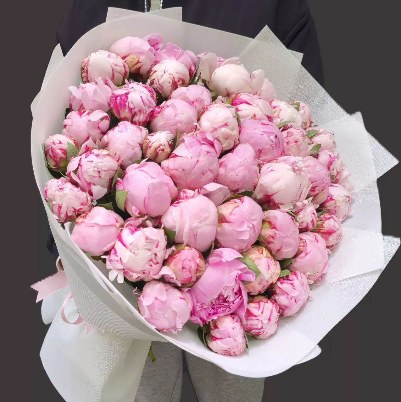 51 півонія Сара Бернар