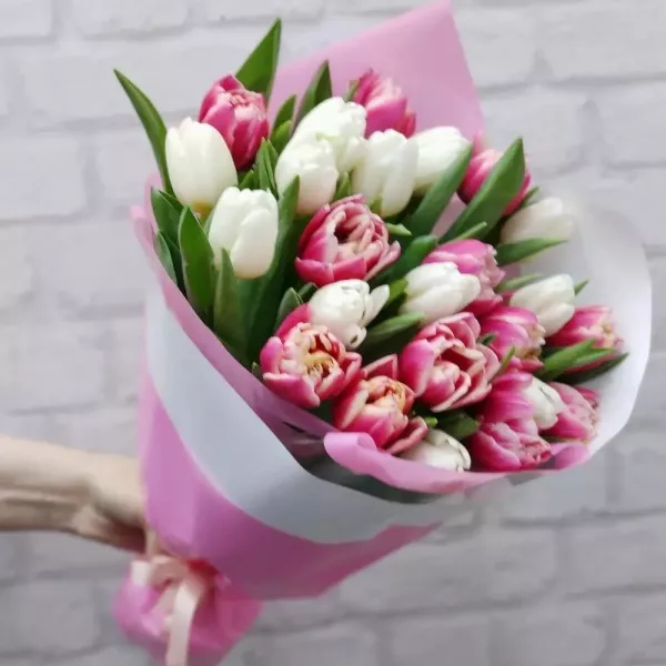 25 тюльпанів