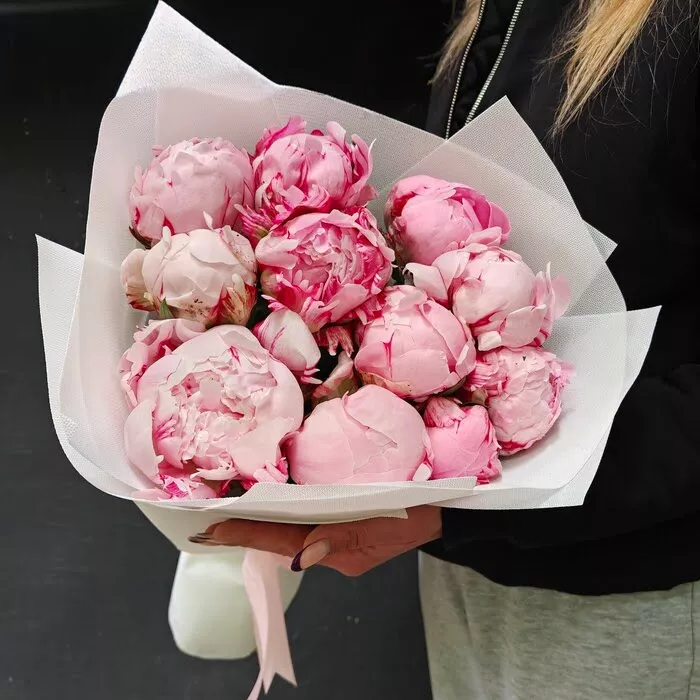 11 півонії Сара Бернар