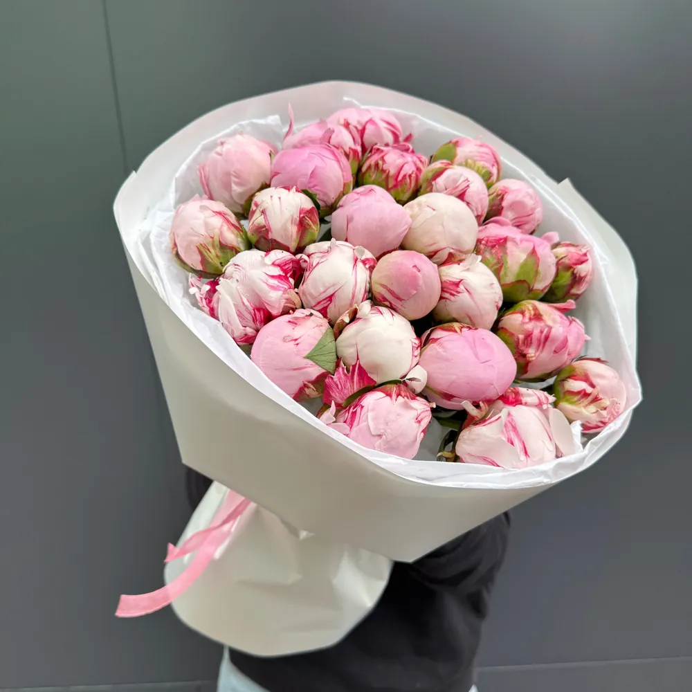 25 півонії Сара Бернар